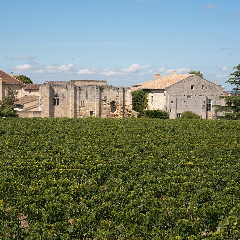 Saint-Emilion, Vue générale du front nord-est, depuis les vignes environnantes. © Région Nouvelle-Aquitaine, Adrienne Barroche, 2015