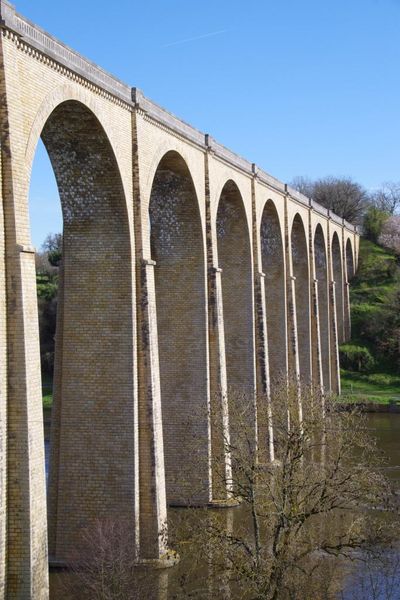 Hôtel de voyageurs : Hôtel Gassion, Détail de la décoration du plafond du bar de l'ancien hôtel Gassion, le club anglais - (c) Région Nouvelle-Aquitaine, Inventaire général du patrimoine culturel - Photographe : Chabot Bernard