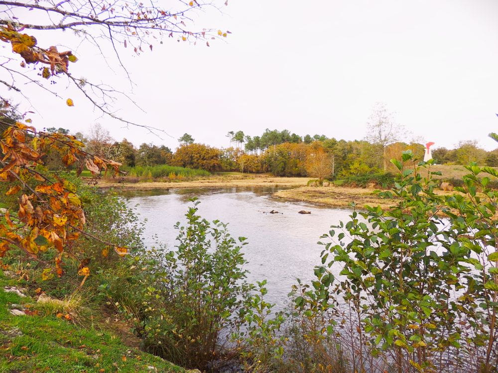 L’étang. © Commune de Brocas.