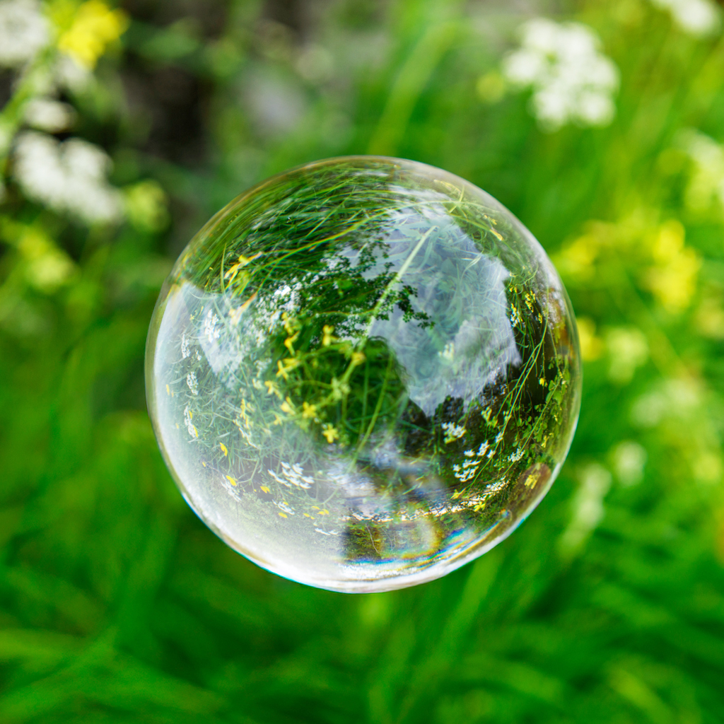 Boule de jardin © Gaëlle Deleflie, 2024