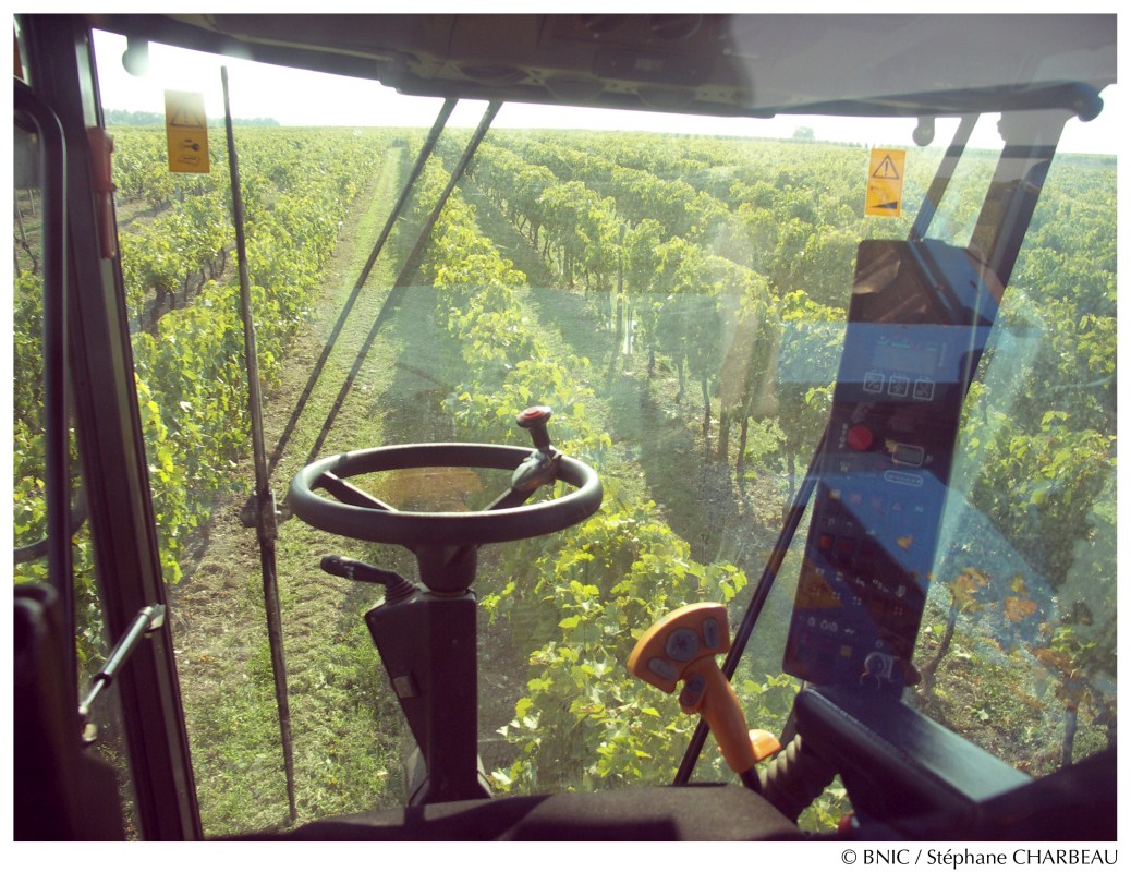 Vendanges à la machine. © BNIC / Stéphane Charbeau.  