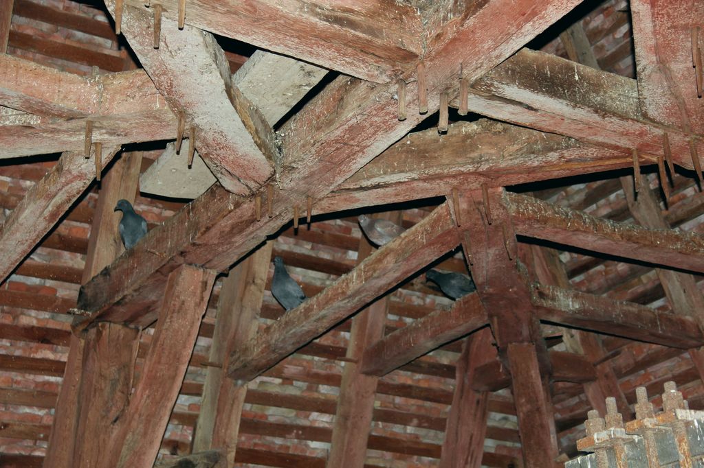 Vue intérieure du clocher : charpente.