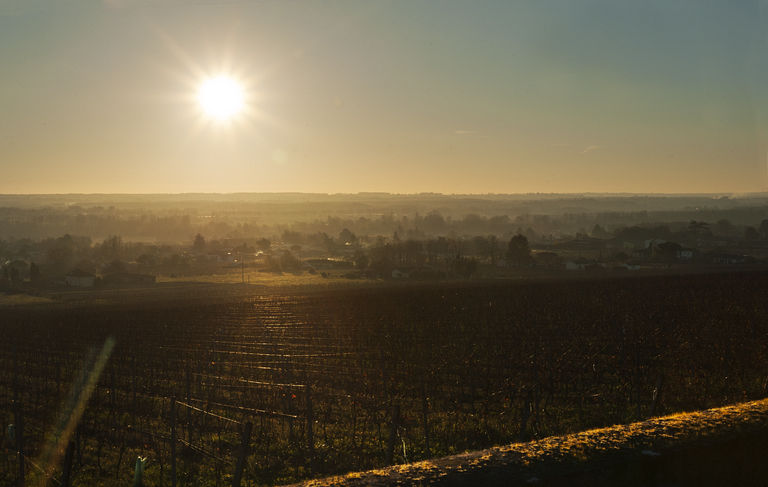 Vue de la vallée de la Garonne et des vignes depuis la terrasse des charmilles. 