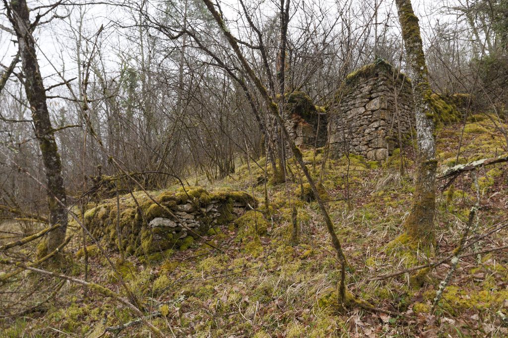 Vue d'une cabane en pierre sèche précédée d'une terrasse ; l'ensemble est situé sur un coteau portant autrefois de la vigne.