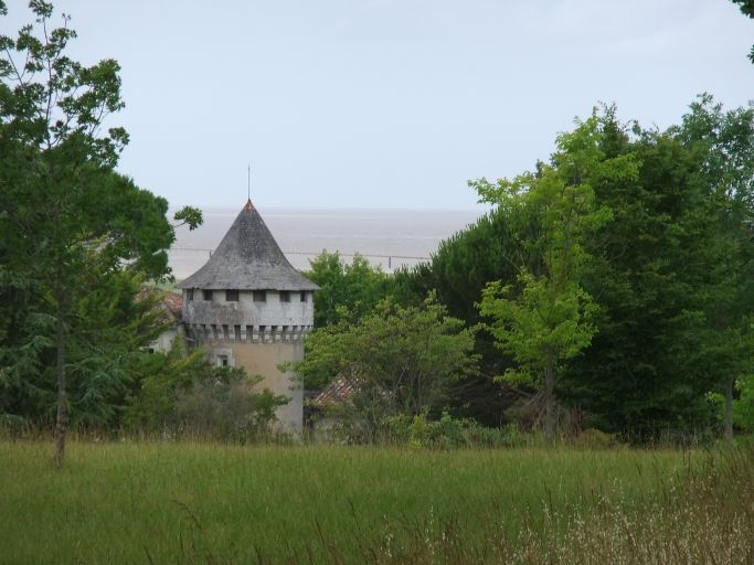 Le château et l'estuaire vus depuis le parc.