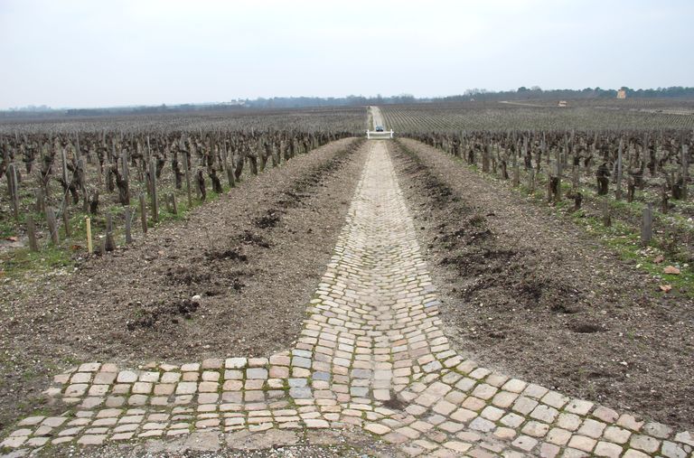 Vignes : pavement en pierre permettant l'écoulement des eaux.