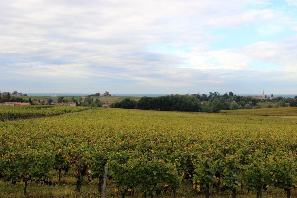 Paysage viticole depuis le hameau de Cots.