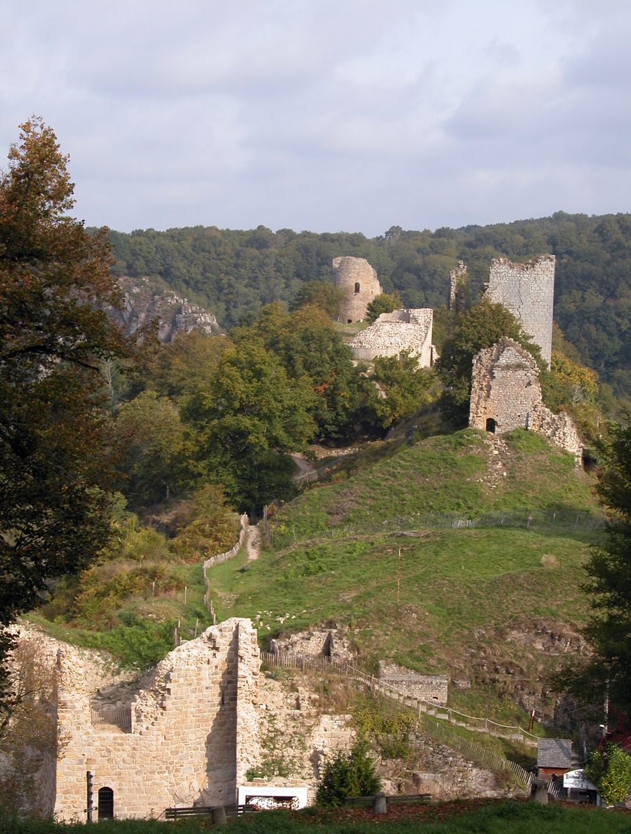 Vue générale des ruines du château.