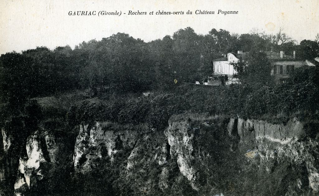 Rochers et chênes-verts du Château Poyanne. Carte postale, début du 20e siècle.