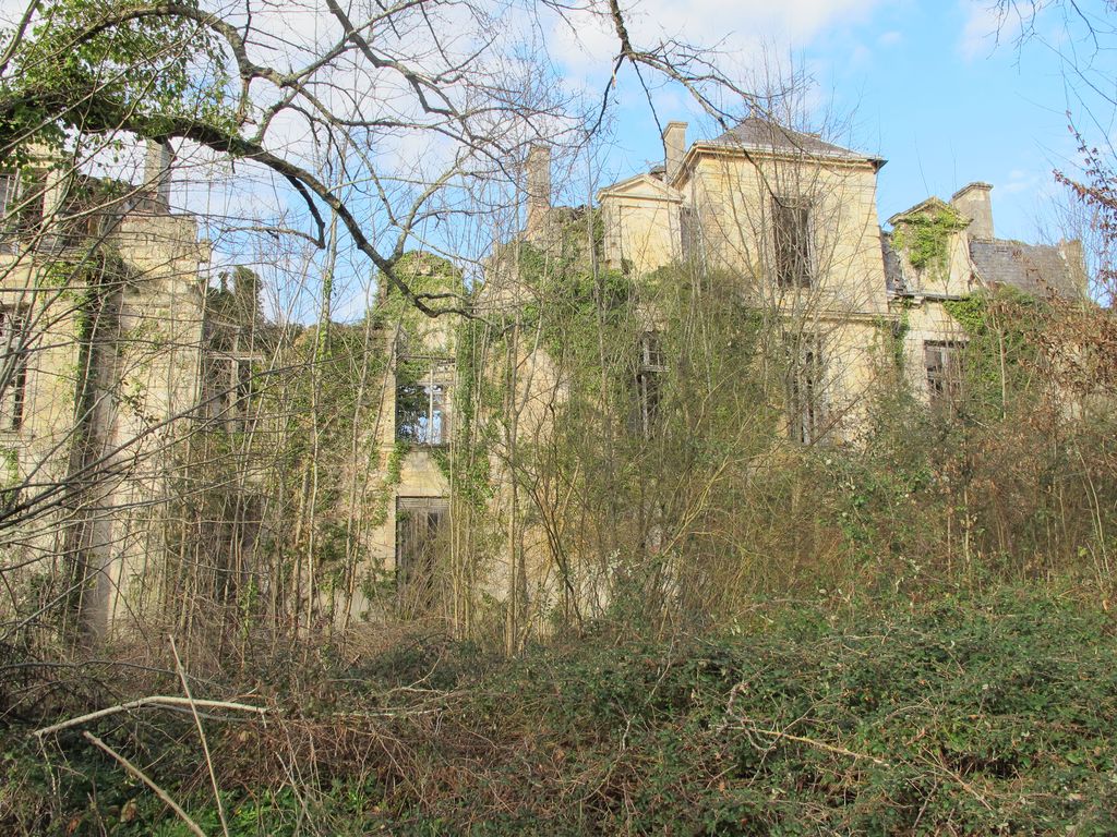 Site de Dillon. Elévation postérieure de l'ancien château.