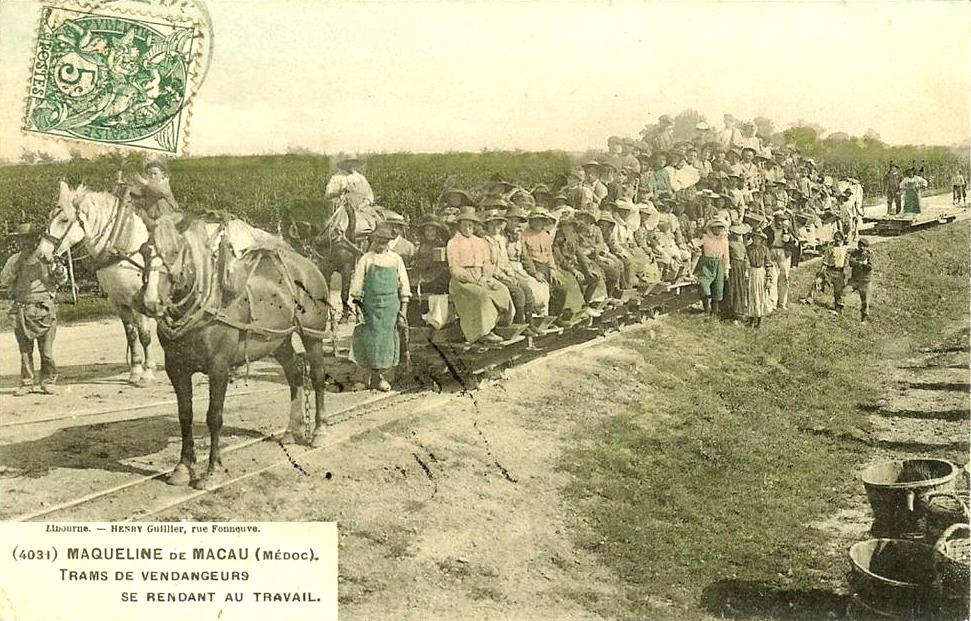 Carte postale. Coll. part. Le tram des vendangeurs, avant 1922.