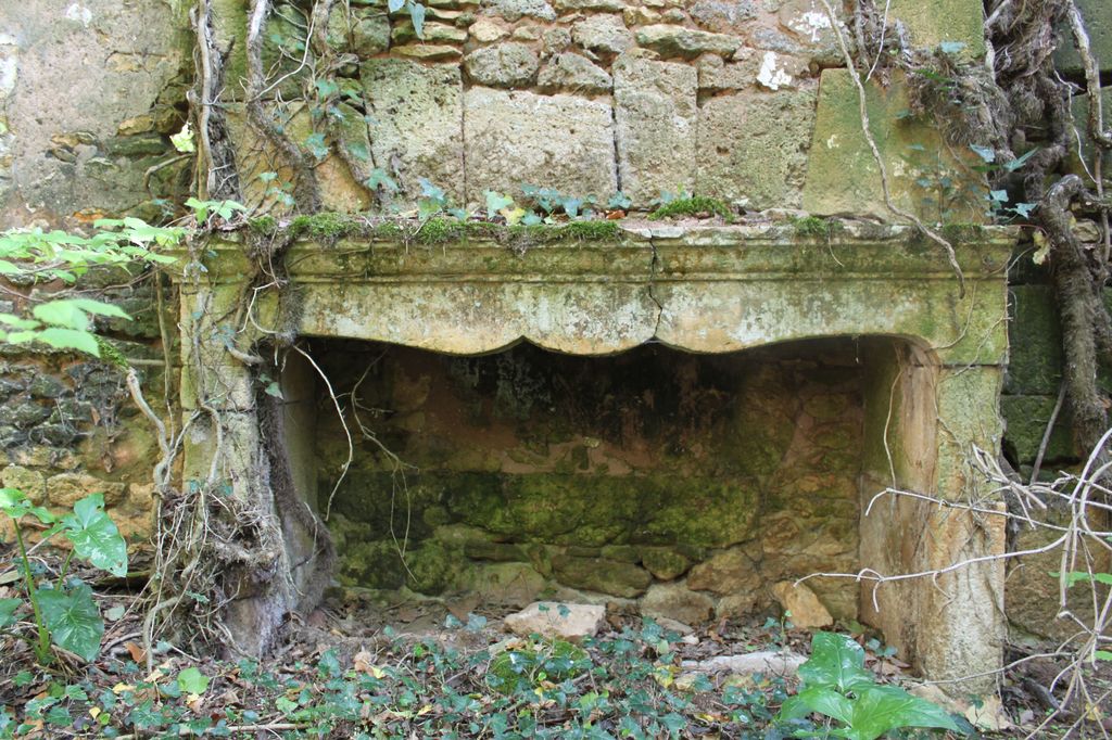 Les Roches, Au breuil (BI 375-375) : cheminée du 18e siècle.