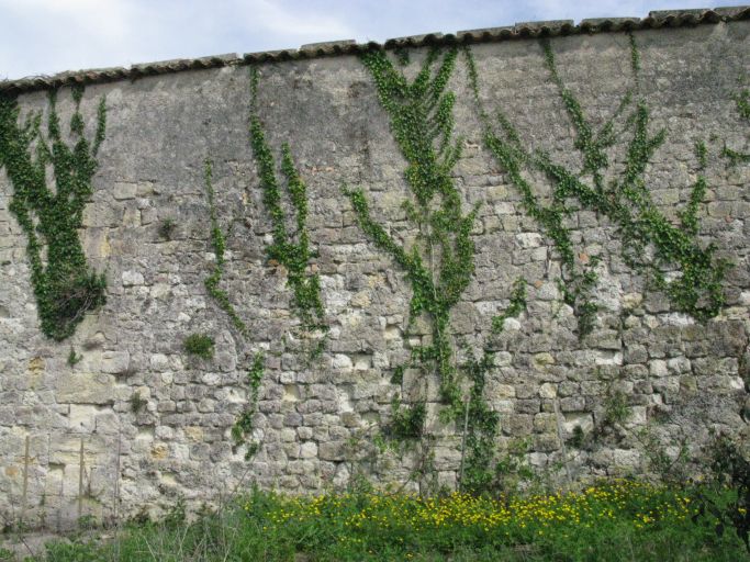 Mur d'enceinte du château au niveau du 11 rue du Château.