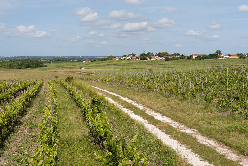 Vue du paysage de la commune depuis le chemin des Prieurs vers Ségonzac.