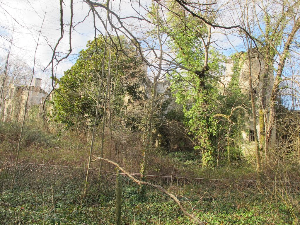 Site de Dillon. Elévation postérieure de l'ancien château.
