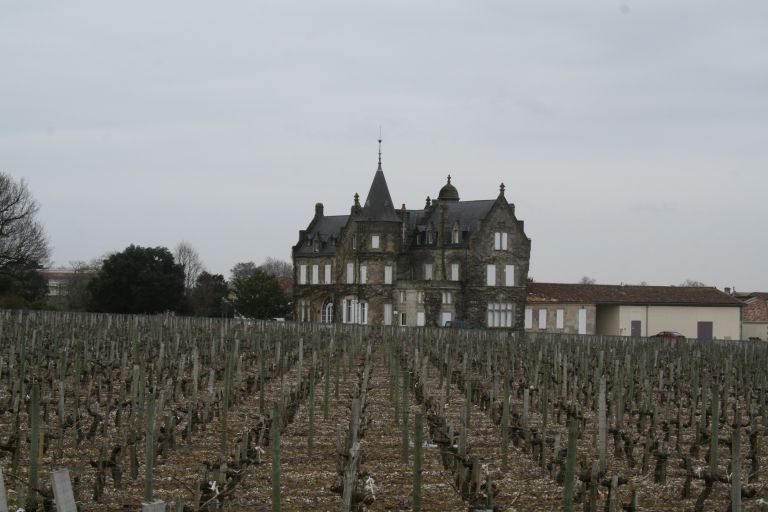 Vue d'ensemble du château au milieu des vignes.