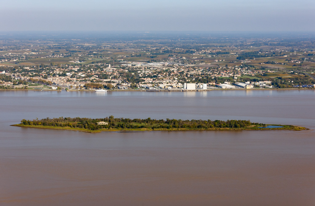 Vue aérienne : île Pâté et ville de Blaye.