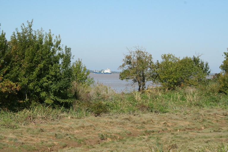 Secteur sud-ouest de l'île : vue depuis la digue vers le rivage, état en 2008.