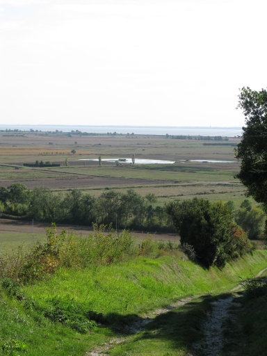 Les marais et l'estuaire vus depuis le chemin descendant de la Haute-Côte.