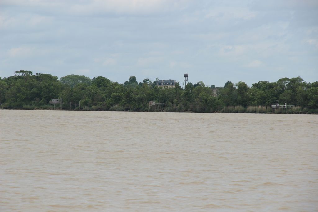 Vue du site depuis l'estuaire.