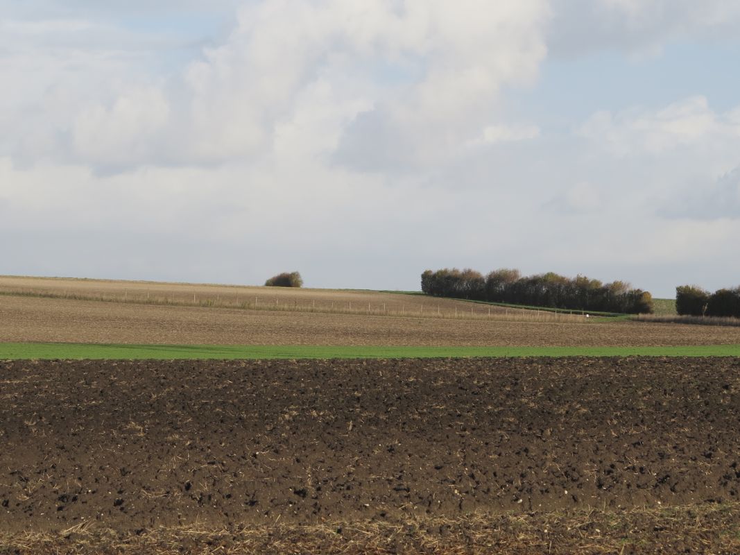 Paysage agricole près de Boube.