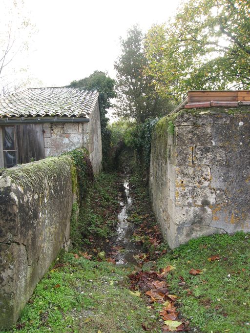 Vieux-Cussac : fossé de drainage.