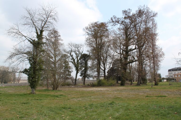 Bosquet d'arbres au sud-est du château, vestiges de l'ancien parc.