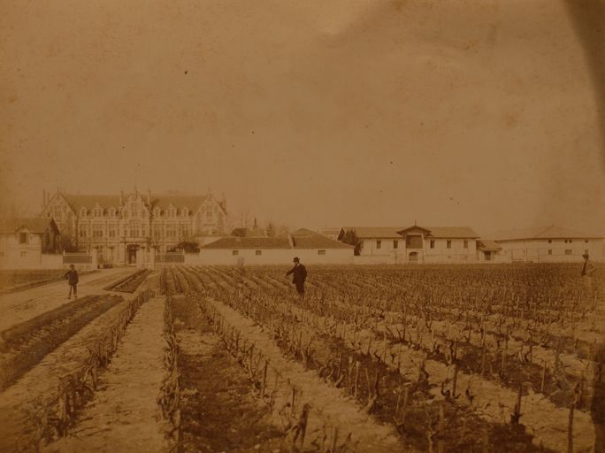 Photographie : vue d'ensemble depuis les vignes à l'est (fin 19e siècle ?).