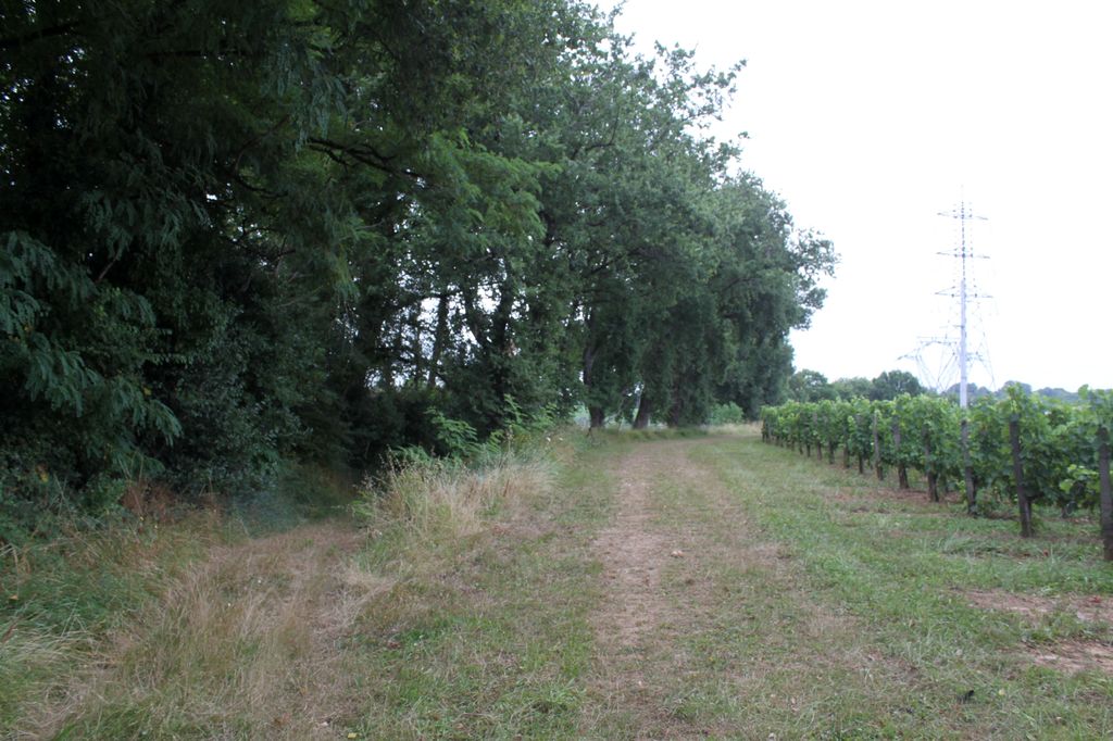 Ancien chemin de Perouil à La Lustre.