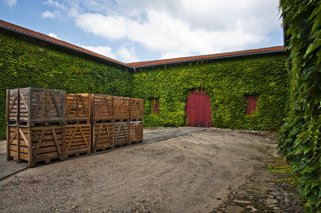 Bâtiments viticoles diposés autour d'une cour.