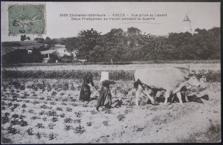 Deux Françaises au travail pendant la guerre 1914-1918, à l'est du bourg, carte postale.