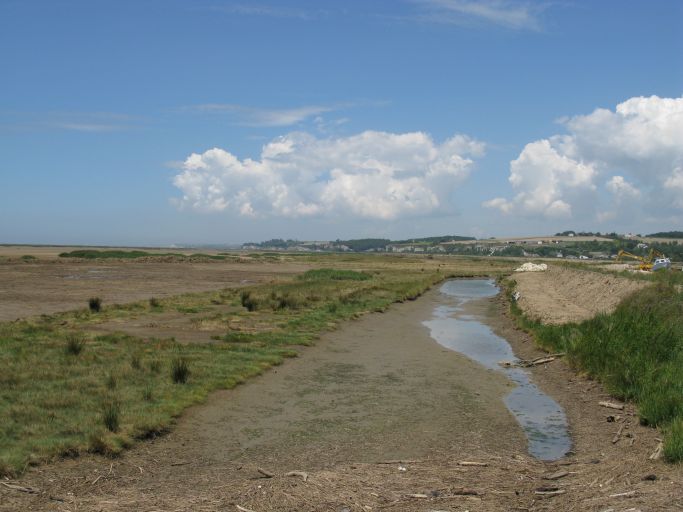 Les marais en aval du port et la digue, à droite, reconstruite en 2011.