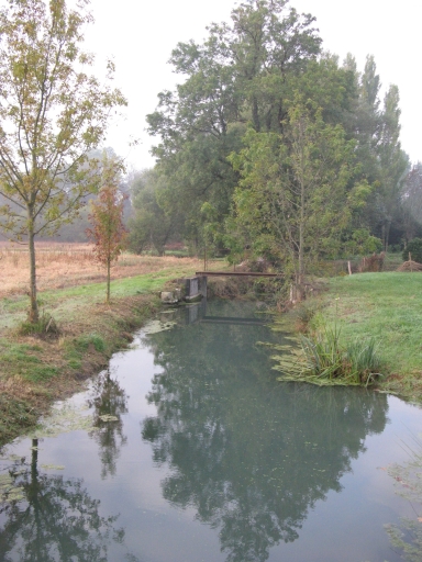 Le Taillon en amont du barrage de Morisset.