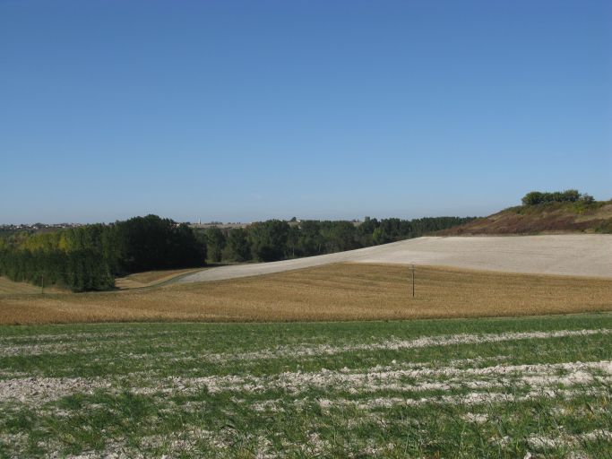 Les marais de Fondevine, à l'arrière plan, au pied du coteau du Breuil.
