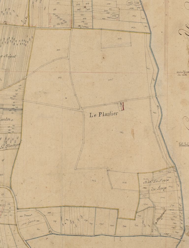 Extrait du plan cadastral de 1825, section E1 : le Plantier (au nord du village d'Artigues).
