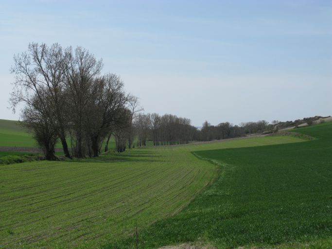 Le vallon des Ruisselles près du bourg de Chenac.