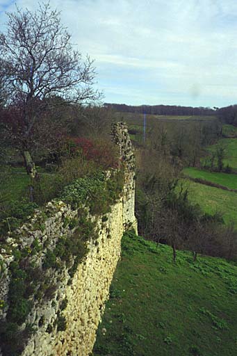 Vestiges de la courtine et de la tour ronde vus depuis la tour carrée en 2002.