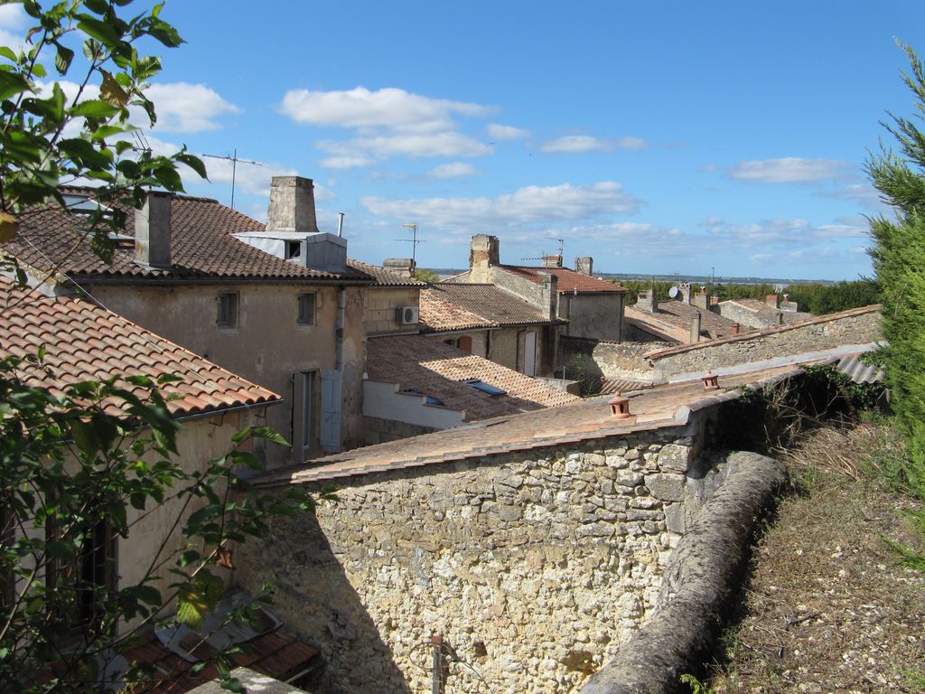 Elévation postérieure des maisons côté impair de la rue Ernest-Régnier, vue depuis le chemin longeant la terrasse supérieure.