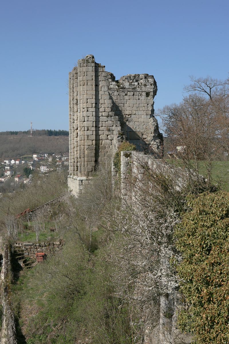 Vue générale des ruines du donjon.