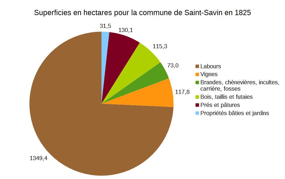 Occupation du sol à Saint-Savin en 1825 (d'après les matrices cadastrales).