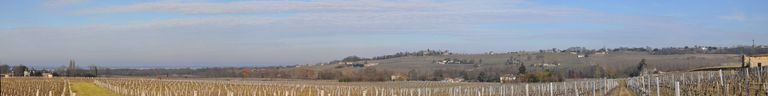 Vue panoramique depuis les vignes nord du Château Sauman.