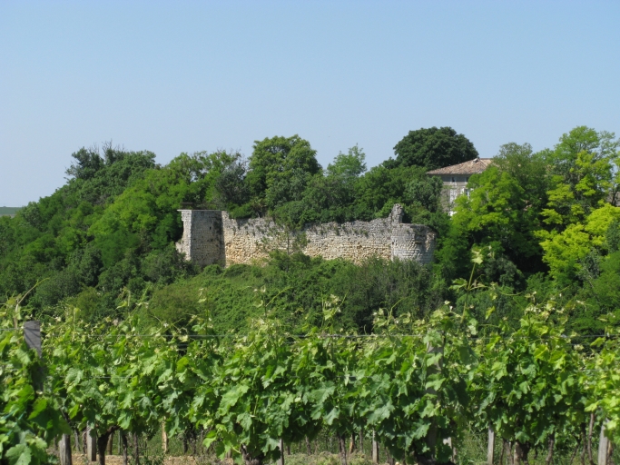 Le château de Cônac vu depuis le moulin de la Parée au sud.