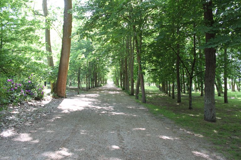 Forêt : vestiges des allées dessinées par le paysagiste Duprat en 1927.