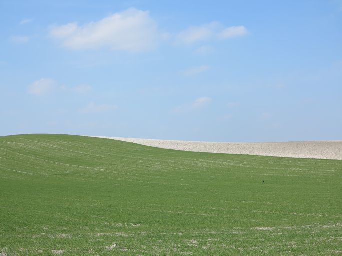 Plateau agricole au nord de Prezelle.
