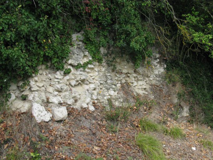 Restes de maçonnerie à l'extrémité sud-est du site de l'ancien château.