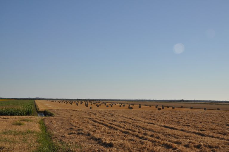 Vue depuis la digue : paysage agricole dans les mattes.