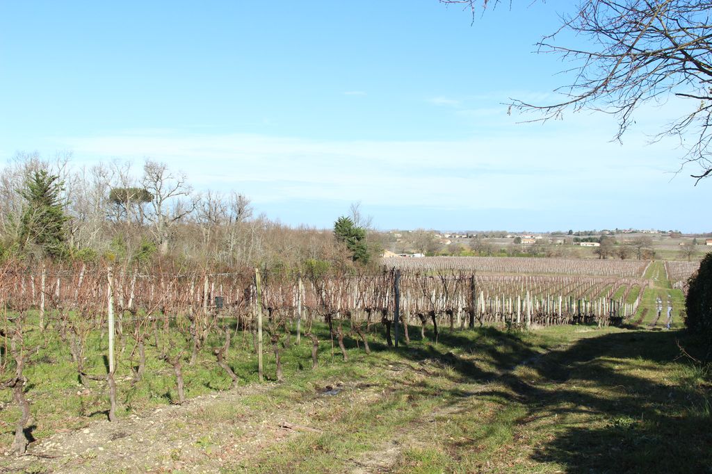 Paysage depuis les vignes entre château Pérenne et Le Prieuré vers le nord.