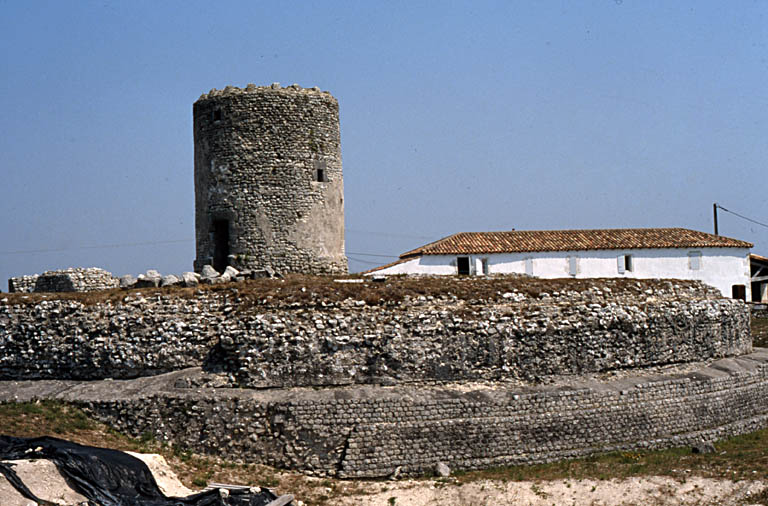 Le moulin du Fâ en 2003.