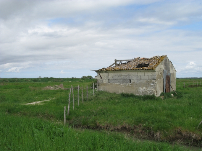 Ruines d'une grange dans les marais desséchés.