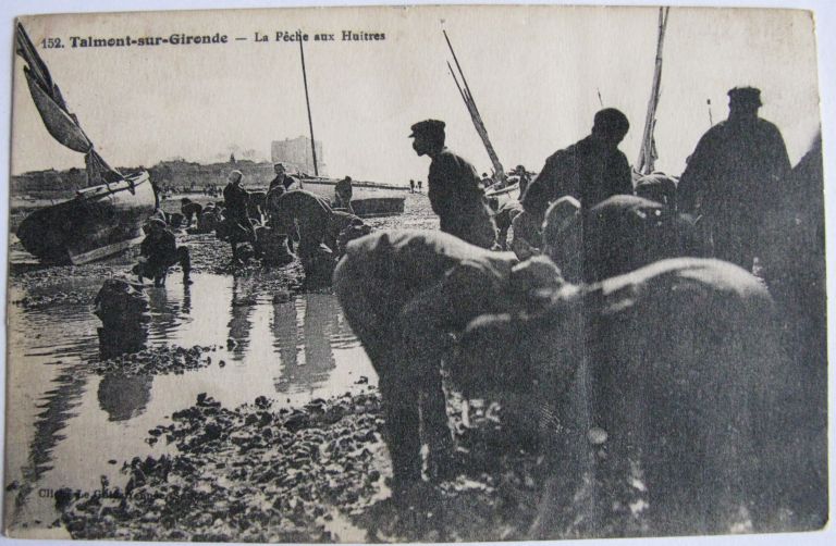 Pêche aux huîtres à marée basse, carte postale du début du 20e siècle.